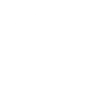 icona-ssl