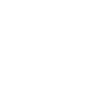 icona-vulnerability-assessment
